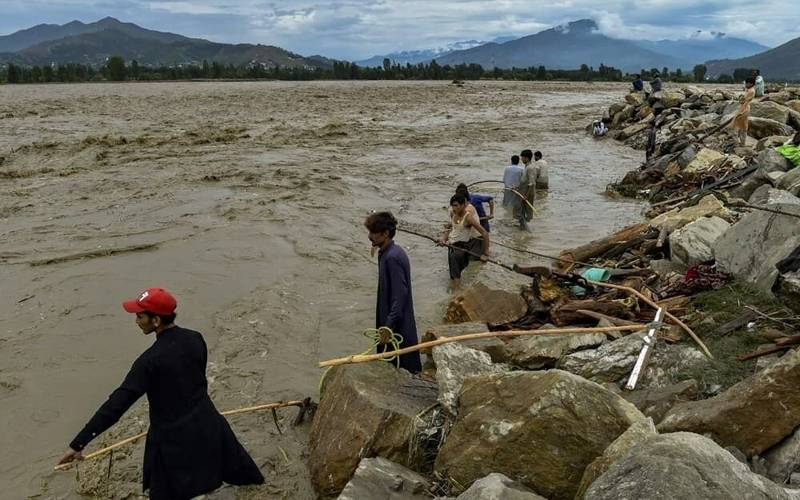 پی ڈی ایم اے نے پختونخوا میں بارشوں سے ہونے والے نقصان کے اعداد و شمار جاری کردیئے