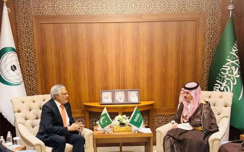 اسحاق ڈار کی سعودی وزیر خارجہ سے ملاقات,غزہ میں جاری نسل کشی، قحط پر بات چیت 