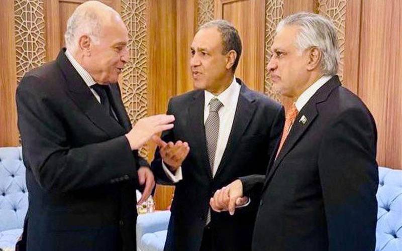 پاکستان، مصر اور الجزائر کا فلسطین کے مسئلہ پر اظہارِ یکجہتی، تعلقات کے فروغ کا عزم