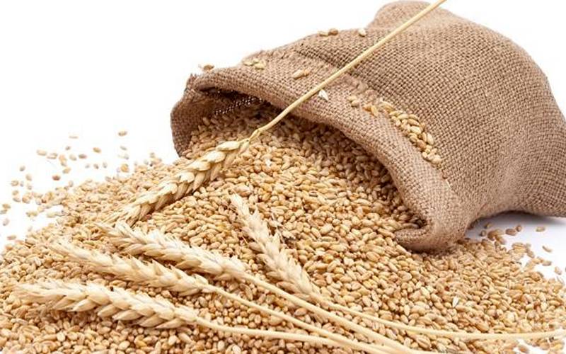 سرکاری گندم 2900 روپے فی من جاری کرنے کا فیصلہ 