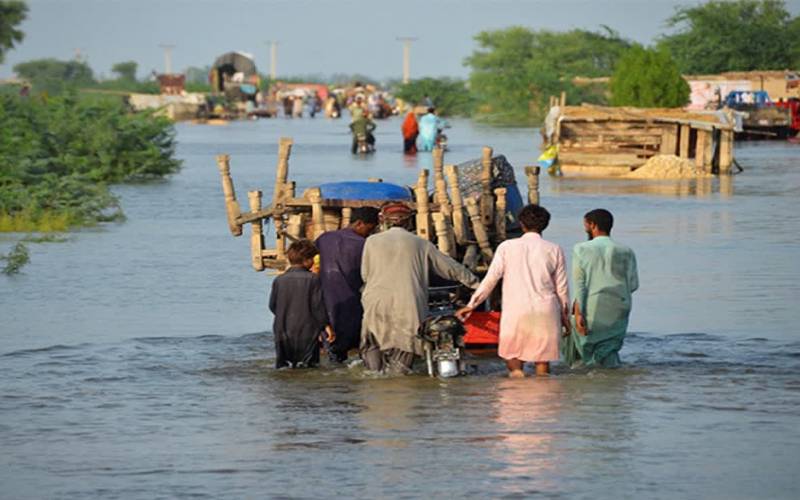 شانگلہ کا بہادر چرواہا، ہاتھ گنوا کر بھی پڑوسیوں کی جانیں بچا لیں