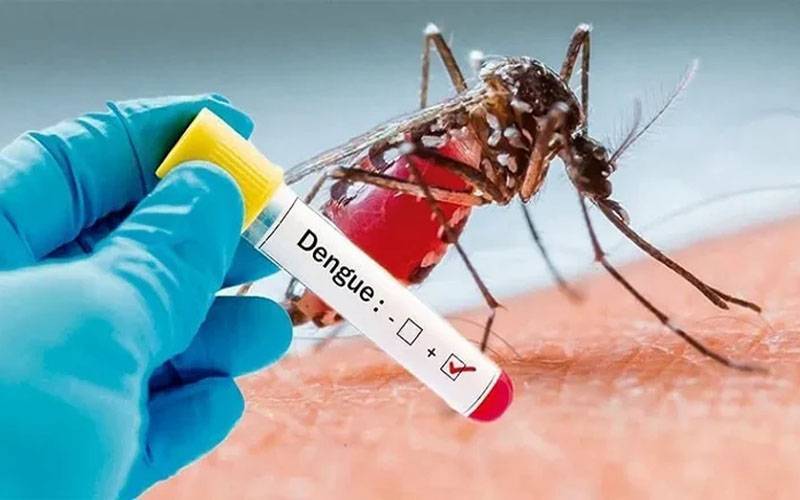 وفاقی دارلحکومت میں ڈینگی کے حملے جاری،مزید 13 کیسز رپورٹ
