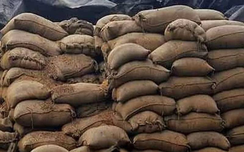 خیبرپختونخوا: گندم چوری سکینڈل میں اسسٹنٹ فوڈ کنٹرولر کی ضمانت مسترد