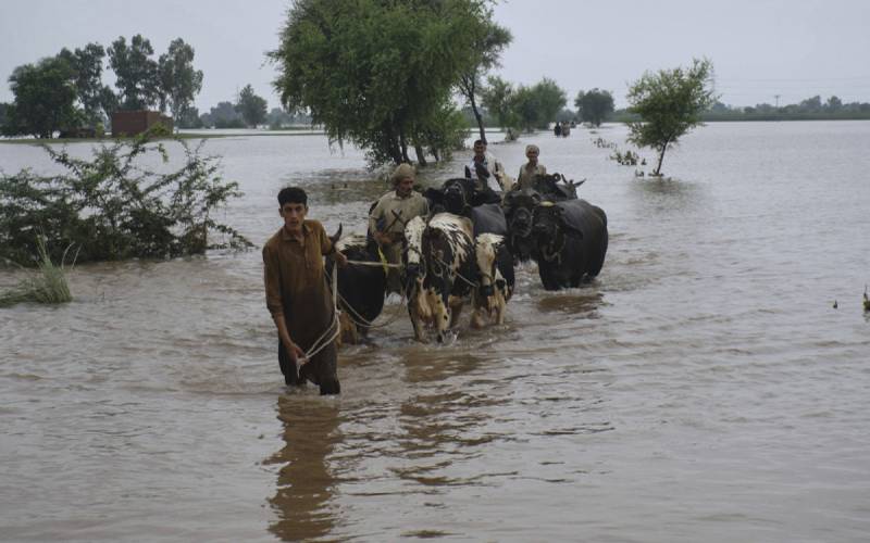 بھارتی پنجاب کے ایک ہزار دیہات سیلاب سے متاثر، ہزاروں افرادبے گھر