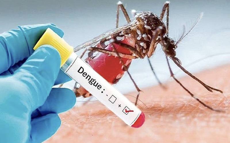 ڈینگی کے وار جاری، مجموعی کیسز 227 تک پہنچ گئے
