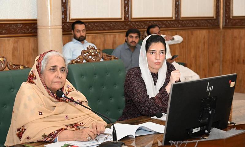 آصفہ بھٹو زرداری کو سندھ میں سیلابی صورتحال پر بریفنگ دی گئی 