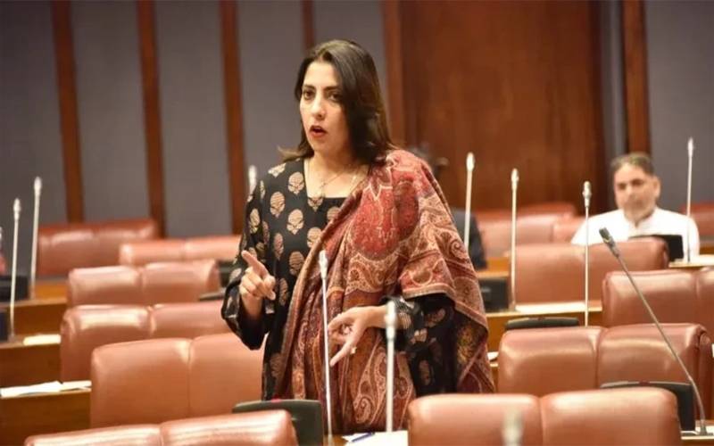 بھارت پانی چھوڑے جا رہا ہے،ان  کے ڈیمز پر میزائل مارنے چاہئیں: پلوشہ خان