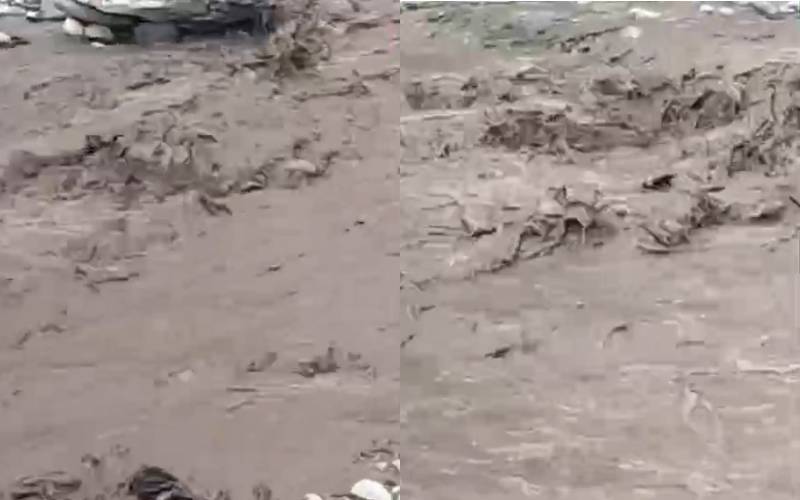 بونیرکی تحصیل ڈگر میں کلاؤڈ برسٹ، سیلابی صورتحال پیدا 
