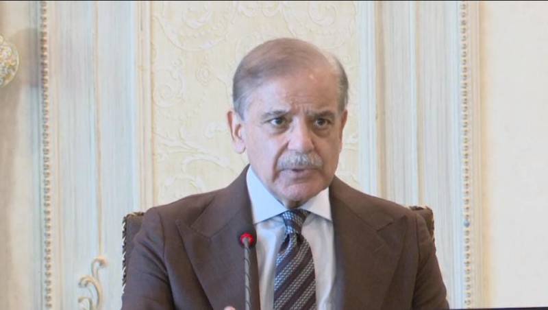 حالیہ بارشوں و سیلاب کے متاثرین کی بحالی ترجیح ہے، شہباز شریف 