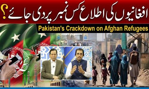 افغانیوں کی اطلاع کس نمبر پر دی جائے ؟