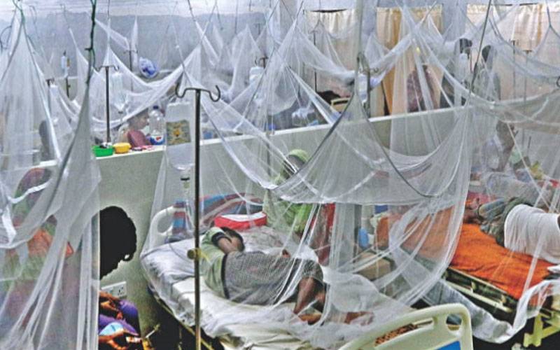 راولپنڈی: ڈینگی کے کیسز میں اضافہ