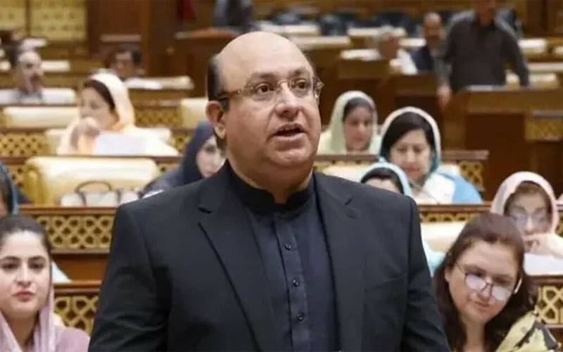 وزیر خزانہ پنجاب کا سیلاب متاثرین کے بجلی بلوں میں خصوصی رعایت کااعلان