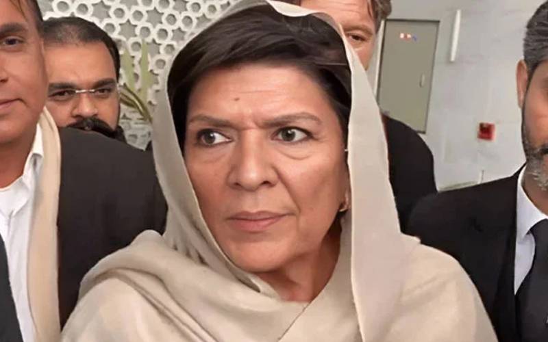 صحافیوں پر تشدد قابل مذمت، غیرضروری سوال کاروبارمتاثرکرتے ہیں:علیمہ خان
