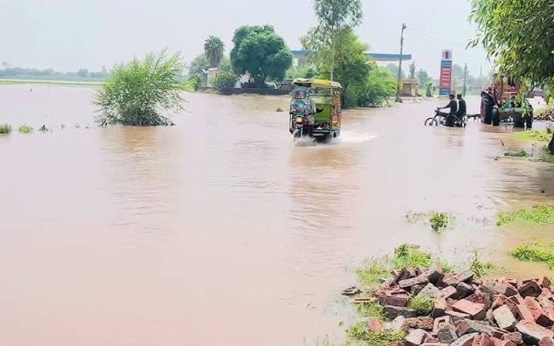 سیلاب، زرعی معیشت کو بڑا جھٹکا، 21 لاکھ25 ہزار838 ایکٹر رقبہ تباہ 