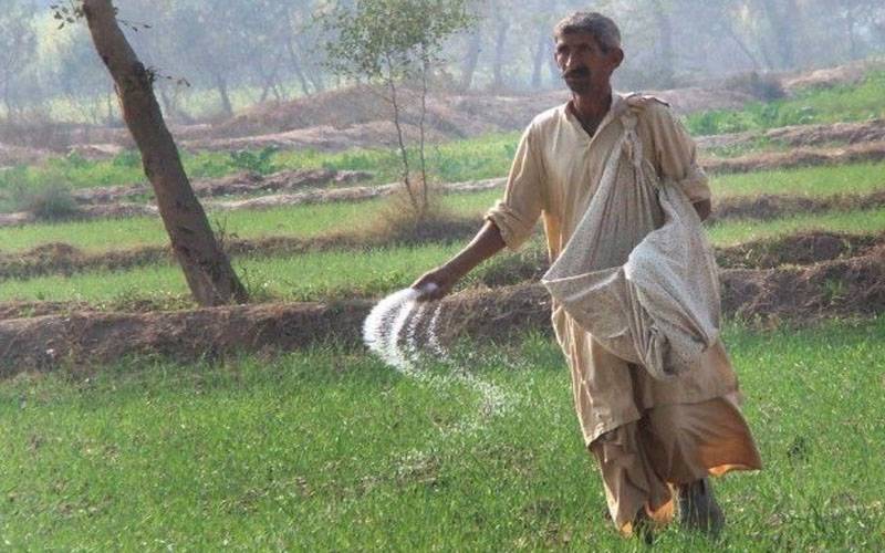 حکومت سندھ کا کسانوں کیلئے بڑا اعلان 