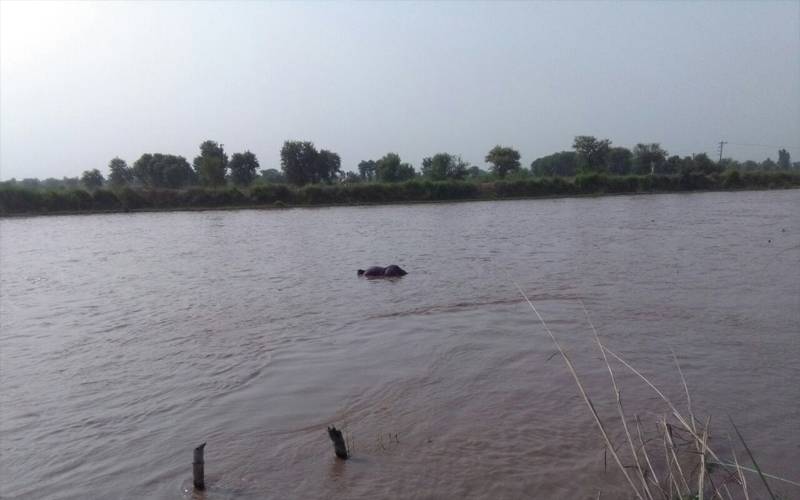 کراچی:کونکر ندی میں3روز قبل ڈوبنے والے ایک اور شخص کی لاش برآمد
