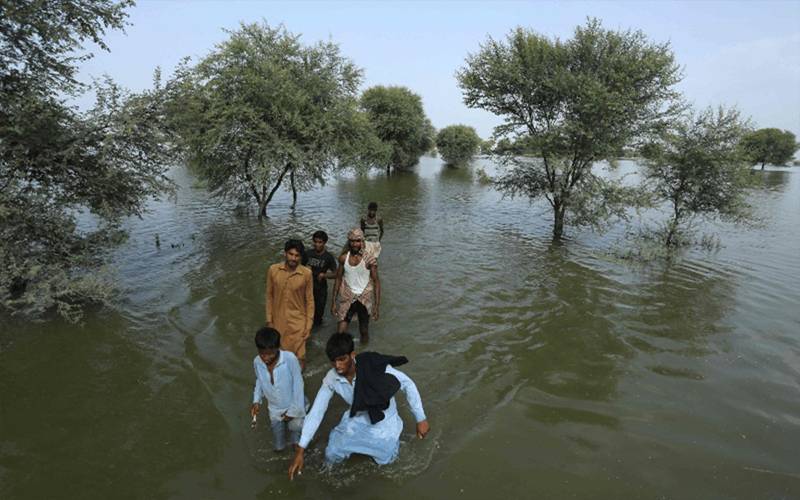  پنجاب کے بعد سیلاب سندھ میں زور پکڑنے لگا، گڈوبیراج پر اونچے درجےکا سیلاب