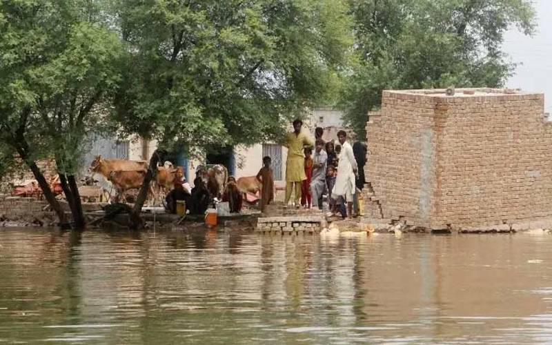  پنجاب میں لاکھوں لوگ بے گھر ،گڈو بیراج میں اونچے درجے کے سیلاب کی پیشگوئی 