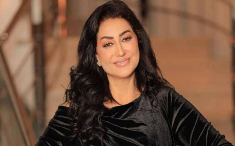 مصری ٹک ٹاکر کو فنکارہ وفا کے خلاف غلط بیانی پر دو برس قید