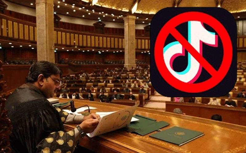 پنجاب اسمبلی میں ٹک ٹاک لائیو پر پابندی کیلئے قرارداد جمع