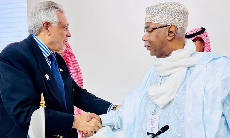 وزیر خارجہ اسحاق ڈار کی او آئی سی سیکرٹری جنرل حسین ابراہیم طٰحہ سے ملاقات