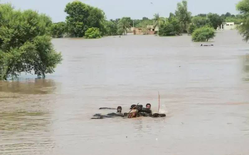 پانی تیزی سے نیچے جارہا، 48گھنٹوں میں دریا کا بہاؤ معمول پرآنےکی توقع ہے: ڈی جی پی ڈی ایم اے