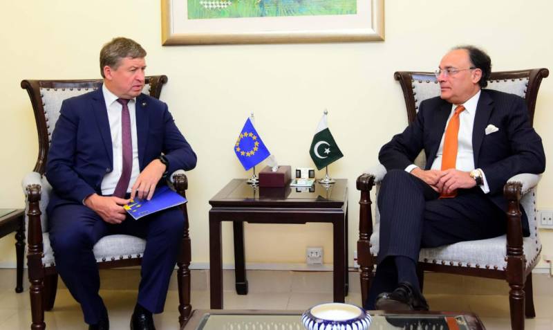  وزیر خزانہ کی یورپی یونین کے نئے سفیر سے ملاقات، یورپی کمپنیوں کو پاکستان میں سرمایہ کاری کی دعوت 
