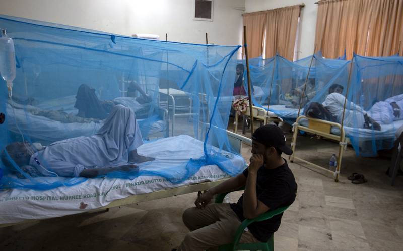 راولپنڈی میں ڈینگی بے قابو، کیسز 800 سے متجاوز