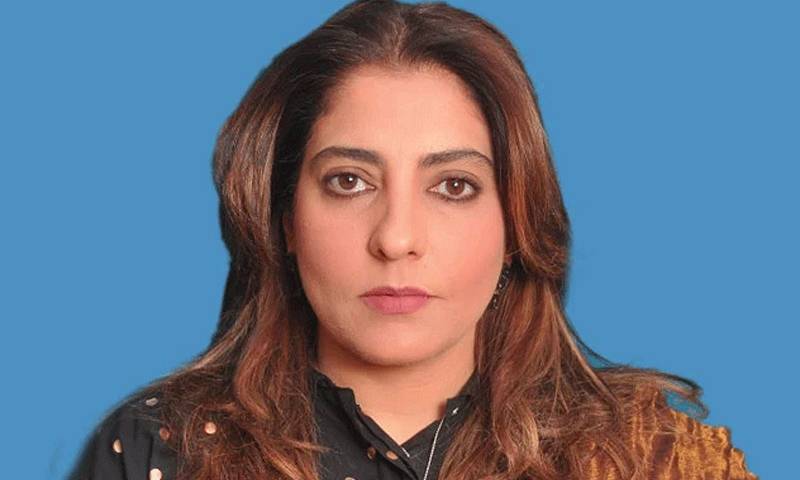 قدرتی آفات پر سیاست نہیں چاہئے:پلوشہ خان