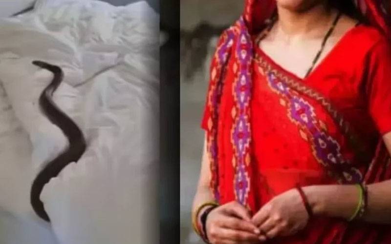 اضافی جہیز نہ لانے پر لالچی سسرالیوں نے بہو کے کمرے میں زہریلا سانپ چھوڑ دیا 