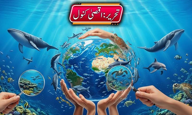 بحری وسائل کا تحفظ: ایک عالمی فریضہ