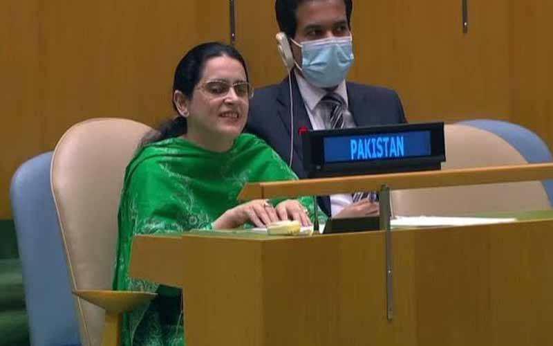 بھارت دہشتگردوں کی مالی و عسکری سرپرستی ، کشمیر میں ظلم چھپا نہیں سکتا: پاکستان