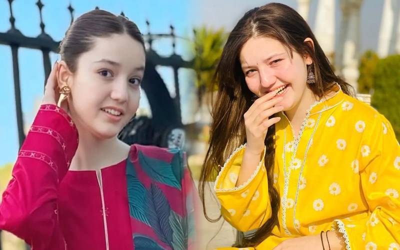 ٹک ٹاکر ثنا یوسف قتل کیس کی سماعت ملتوی