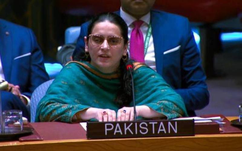 بھارت سب سے بڑی جمہوریت نہیں بلکہ جھوٹ  کی فیکٹری ہے،پاکستانی قونصلر