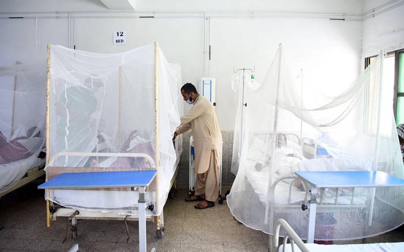 راولپنڈی میں ڈینگی بے قابو، مزید 29 کیسز سامنے آگئے