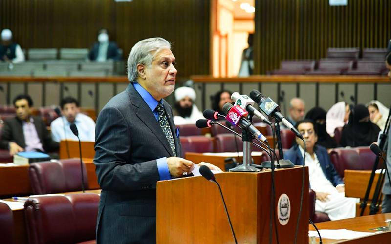 غزہ معاملے پر ٹرمپ نے جن 20 نکات کا اعلان کیا ہے وہ ہمارے نہیں ہیں: اسحاق ڈار