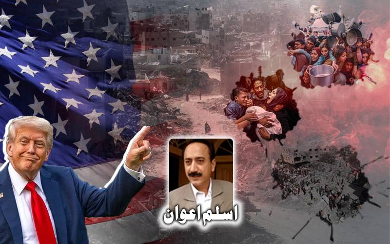 امریکہ مسئلہ فلسطین کا حل نہیں چاہتا 