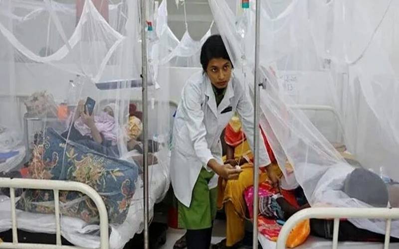 راولپنڈی میں گزشتہ 24 گھنٹوں کے دوران 34 ڈینگی کے نئے مریض رپورٹ 