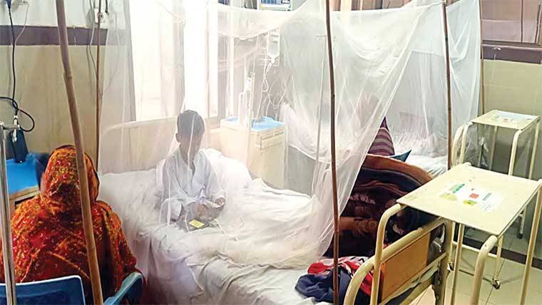 ملتان میں بارش کے بعد ڈینگی کے ڈنگ تیز ،11 مریض نشتر ہسپتال  میں داخل