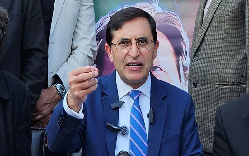 بیرسٹر گوہر نے علی امین کو عہدے پر رکھنے یا ہٹائے جانے کے بیان کی تردید کر دی 