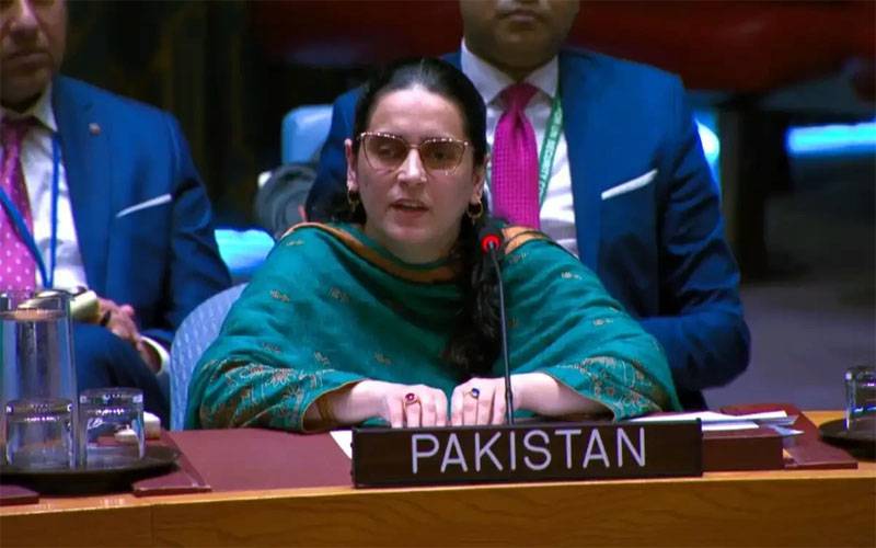 بھارت خطے کو عدم استحکام کا شکار اور دہشت گردی کی سرپرستی کر رہا ہے:پاکستانی مندوب 