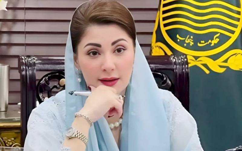 مریم نواز کی سعودی وفد کو عربی زبان میں خوش آمدید کہنے کی ویڈیو وائرل
