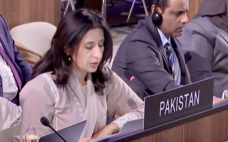یونیسکو میں غلط خبروں سے متعلق پاکستانی تجاویز منظور