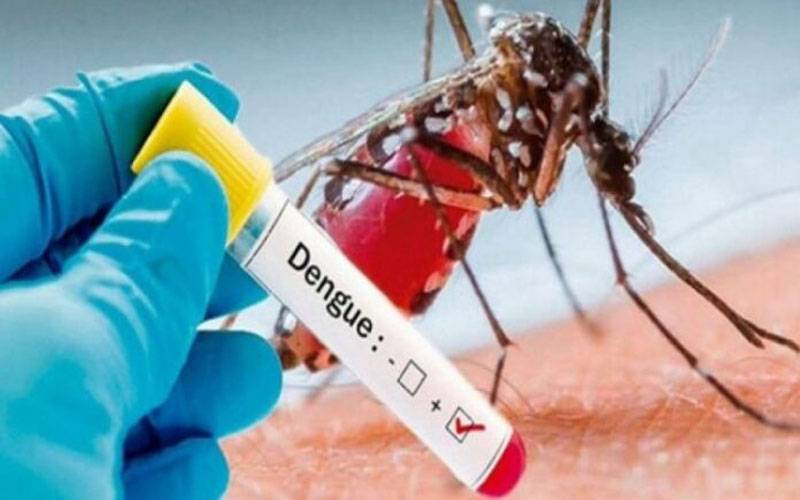 موسم بدلتے ہی ملک میں ڈینگی کے کیسز میں اضافہ