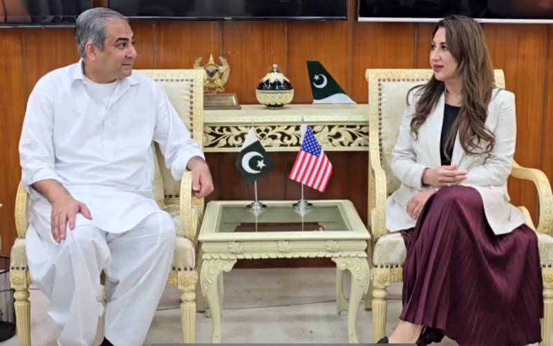 محسن نقوی سے امریکی قائم مقام سفیر کی ملاقات،مختلف شعبوں میں تعاون بڑھانے پر تبادلہ خیال 