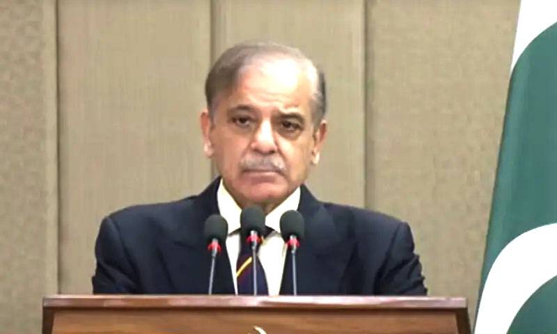 شیخ زید بن ہمدان کو پاکستان میں خوش آمدید کہتے ہیں:شہباز شریف