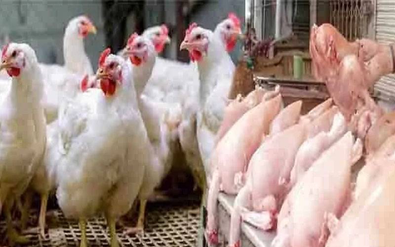  مرغی کے گوشت کی قیمت میں پھر اضافہ