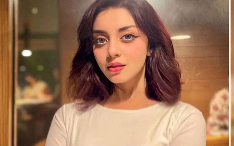 علیزے شاہ نے سوشل میڈیا کو پھر خیر باد کہہ دیا 