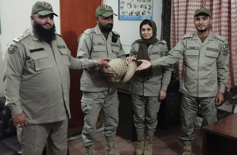  پینگولن فروخت کی ویڈیو واِئرل، 3 افراد گرفتار 