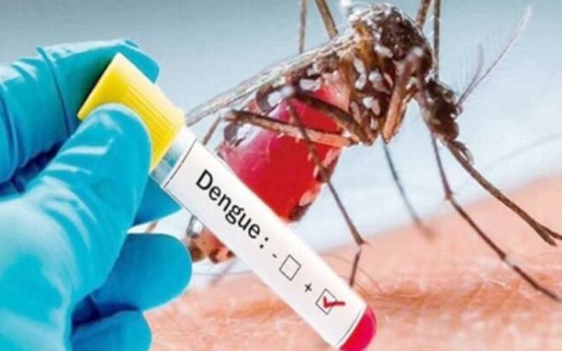 سندھ بھر میں ڈینگی کے 160 مریض زیرِ علاج